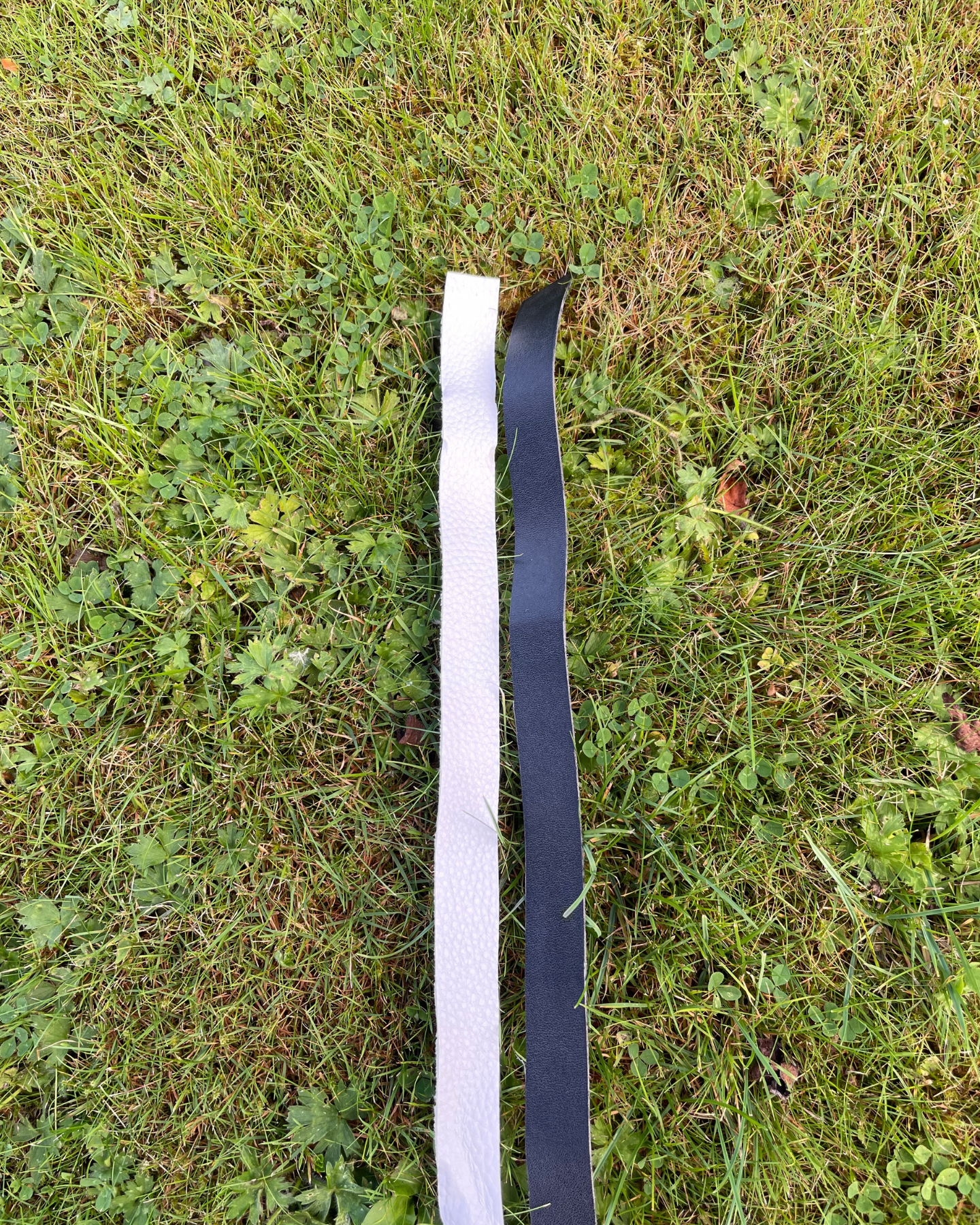 Leather Strap